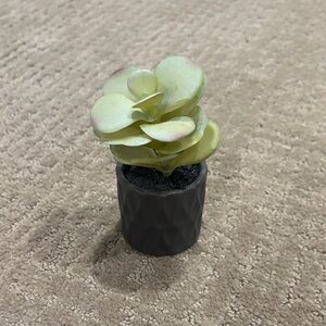 Target Faux Succulent in Dark Gray Pot
